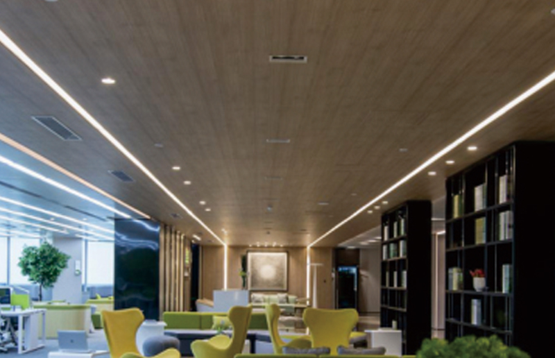 LG05V ความสว่างสูงหลายขนาด LED Batten Batten Fitting